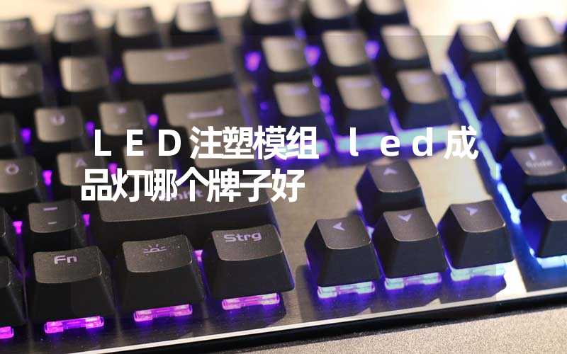 LED注塑模组 led成品灯哪个牌子好